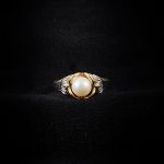 1269 1169 RING